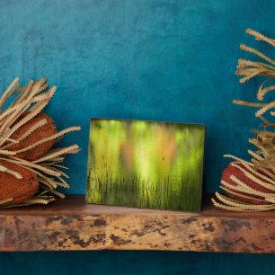 Plaque Photo Réflexions sur le lac Mirror   Yosemite