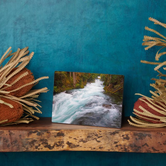 Plaque Photo Rivière McKenzie | Oregon (Côté)