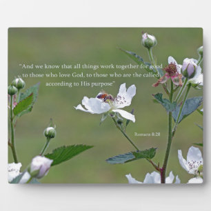 Plaque Photo Romans 8:28