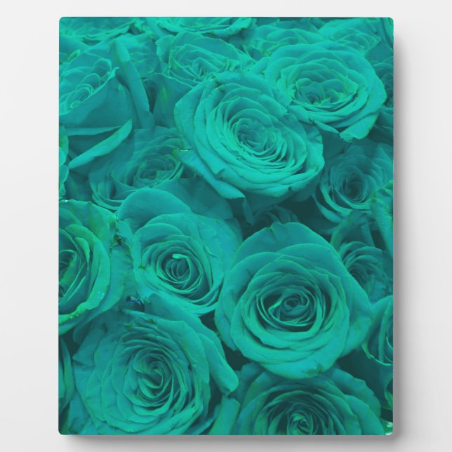 Plaque Photo Romantique élégant turquoise - roses verts (Devant)