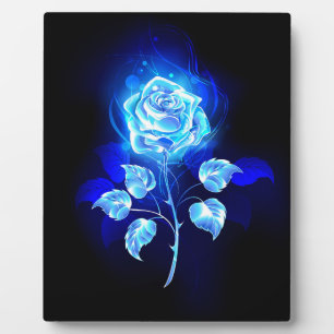 Plaque Photo Rose bleue brûlante