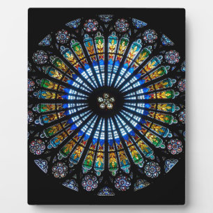 Plaque Photo Rose en verre tendu à Strasbourg