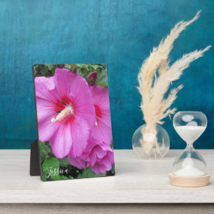 Plaque Photo Rose rose de Sharon Floral Photographie Monogramme