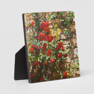 Plaque Photo Roses rouges contre un mur de pierre