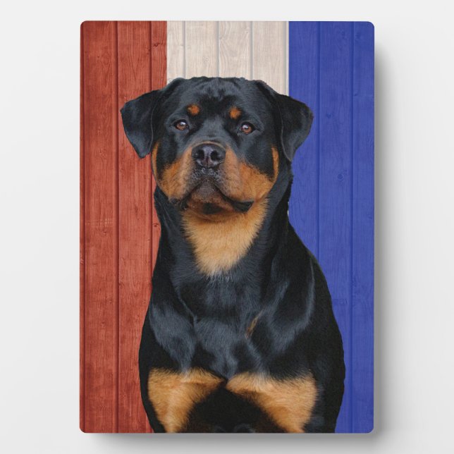 Plaque Photo Rottweiler (Devant)