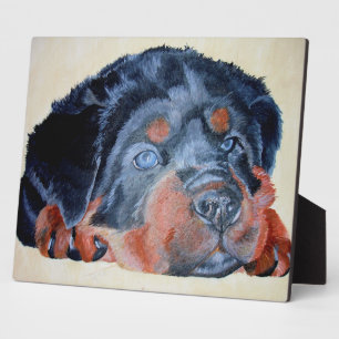 Plaque Photo Rottweiler Chiot Artistique Portrait pour Animaux