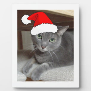 Plaque Photo Russian Blue Cat Christmas