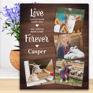 Plaque Photo Rustic Pet Memorial Pet Perdre Cadeau Sympathie 4 