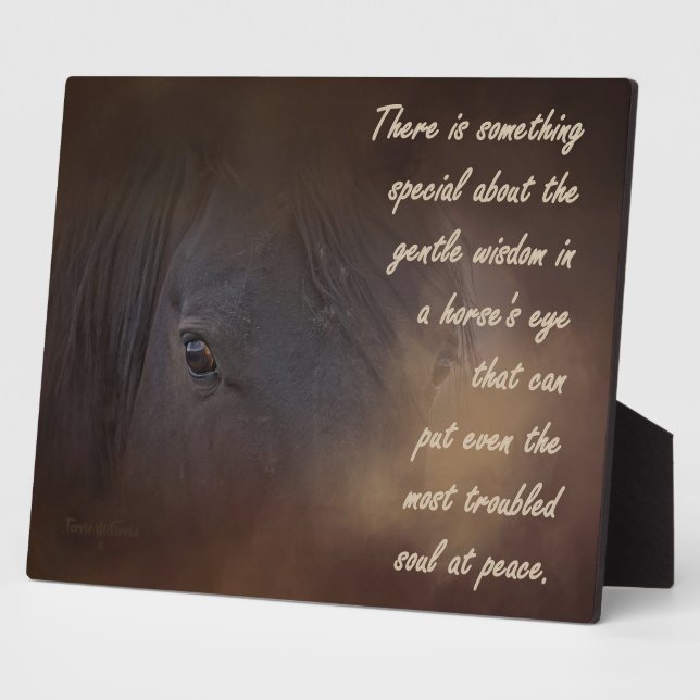 Plaque Photo Sagesse douce dans l'oeil d'un cheval (Côté)