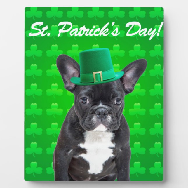 Plaque Photo Saint Patrick, Chien de taureau français (Devant)