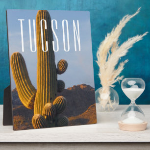 Plaque Photo Scène Sunlit Saguaro Tucson