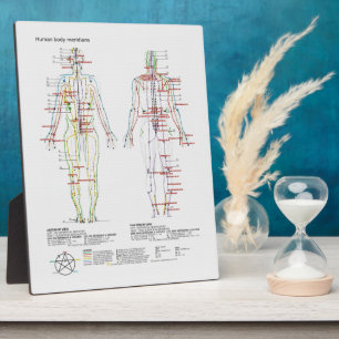 Plaque Photo Schematic of the Chinese or Human Body Meridians