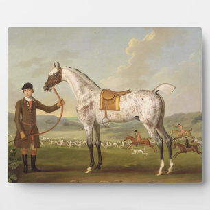Plaque Photo Scipio, Colonel Roche's Spotted Hunter, c.1750 (oi
