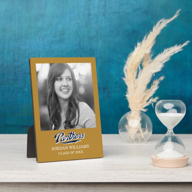 Plaque Photo Script des panneaux FIU (Côté)