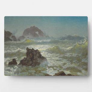 Plaque Photo Seal Rock, Californie, c.1872