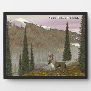 Plaque Photo Selkirk Caribou