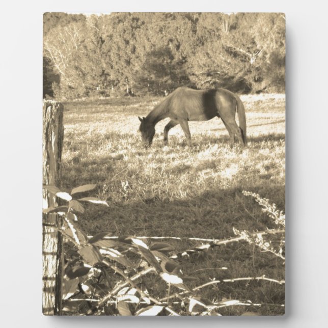 Plaque Photo Sepia ton cheval Brown et clôture (Devant)