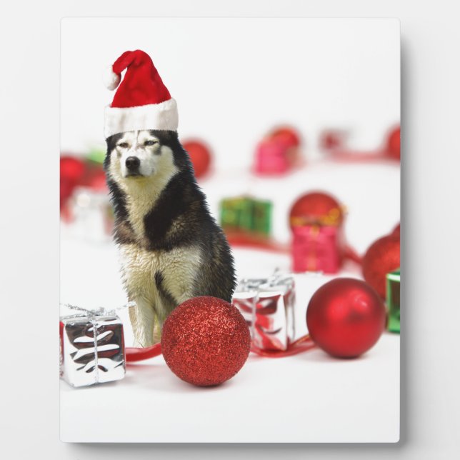 Plaque Photo Sibérie Husky Noël avec boîte cadeau ornement (Devant)
