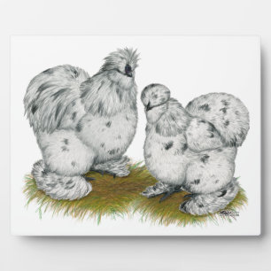 Plaque Photo Silkie Bantam Splash Chickens