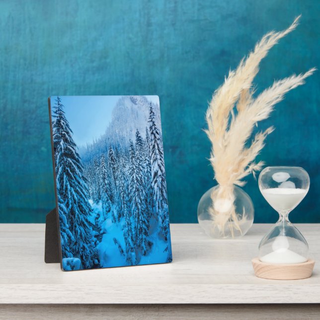 Plaque Photo Snoqualmie Pass, État de Washington. (Côté)