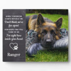 Souvenir du chien - Gardien de la perte des animau