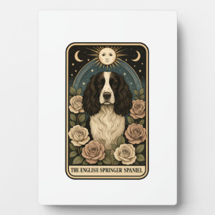 Plaque Photo Springer Spaniel anglais