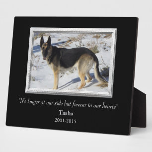 Plaque Photo Sur Notre Côté Silver Frame Pet Modèle Memorial
