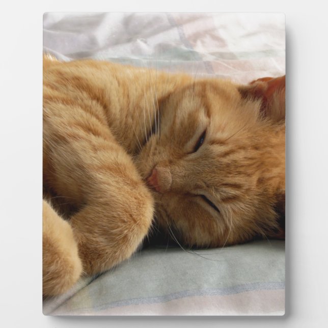 Plaque Photo Sweet Dreams (Devant)