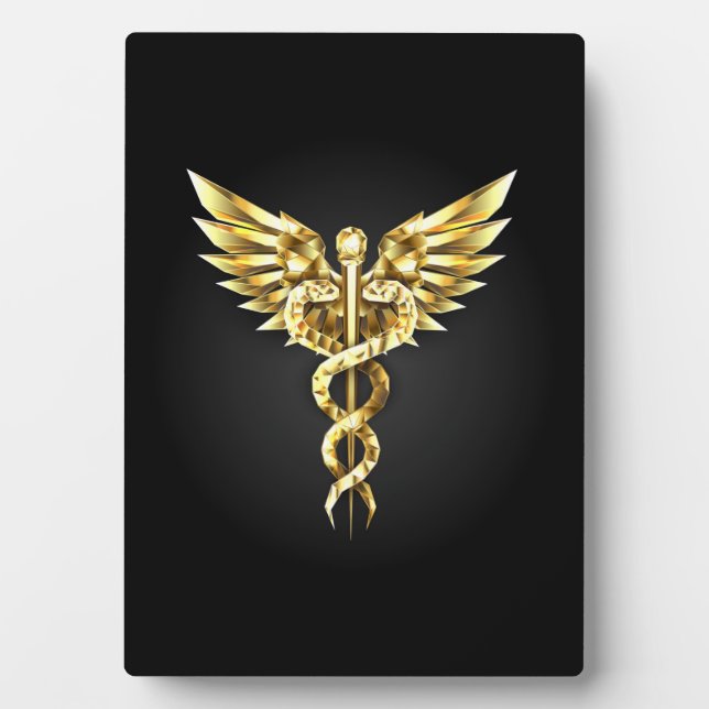 Plaque Photo Symbole Polygonal Or Caduceus (Devant)