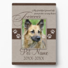 Sympathie pour animal de compagnie