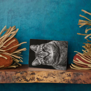 Plaque Photo Tabby noir Kitten
