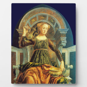 PLAQUE PHOTO TAROTS DE RENAISSANCE ANTIQUE 14 / TEMPÉRANCE