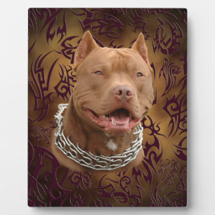 Plaque Photo tatouage tribal brun Pitbull
