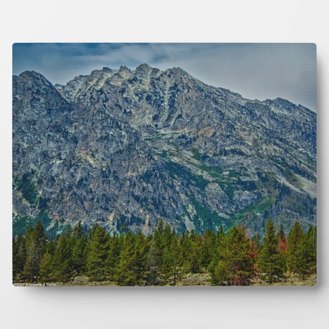 Plaque Photo Teton NP 6901 (Devant)