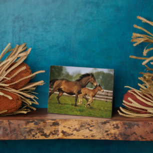 Plaque Photo Thoroughbred Chestnut Mare & Foal