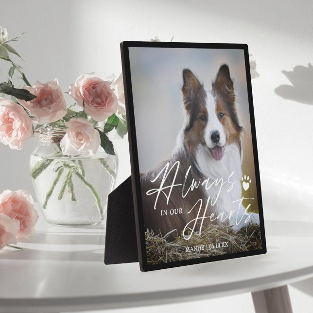 Plaque Photo Toujours dans nos coeurs Pet Photo Memorial (Créateur téléchargé)