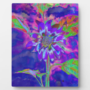 Plaque Photo Tournesol bleu violet Abstrait   rétro amusant fun