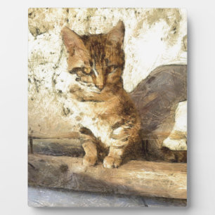 Plaque Photo Tous Les Chats Sont Noirs Dans Le Croquis Crayon S