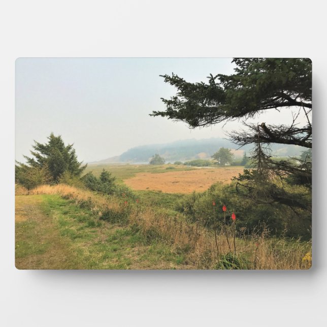Plaque Photo Trail at Cape Blanco (Devant)