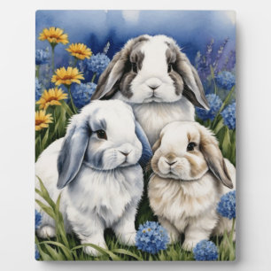 Plaque Photo Trois petits lapins lapins de lapin de lop