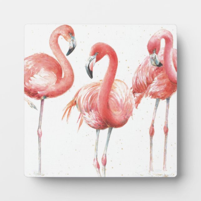 Plaque Photo Tropical | Famille de Flamants roses (Devant)