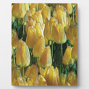 Plaque Photo Tulips Sunshine Yellow