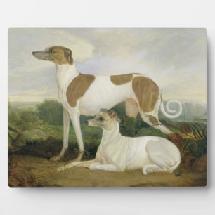 Plaque Photo Two Greyhounds in a Landscape