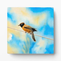 Un oiseau solitaire et coloré