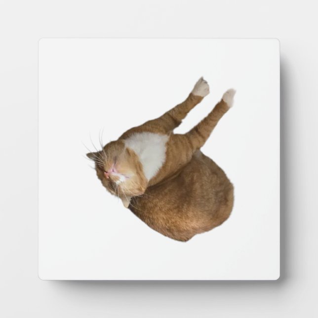 Plaque Photo Upside-Down Sunshine (Devant)