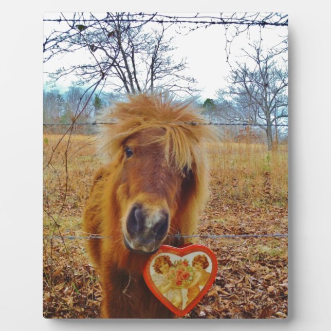 Plaque Photo Valentine Heart Miniature Brown Horse (Devant)