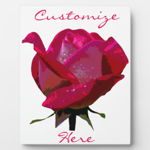 Plaque Photo Valentine red rose