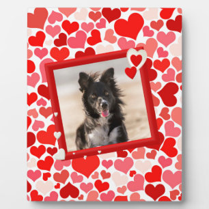 Plaque Photo Valentines Frontière Collie Coeurs de chien