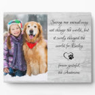 Vétérinaire Animaux de compagnie Photo Appréciatio