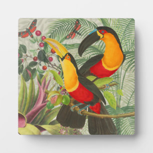 Plaque Photo Vibrant Tropical Toucan Birds Art Exotic Jungle
